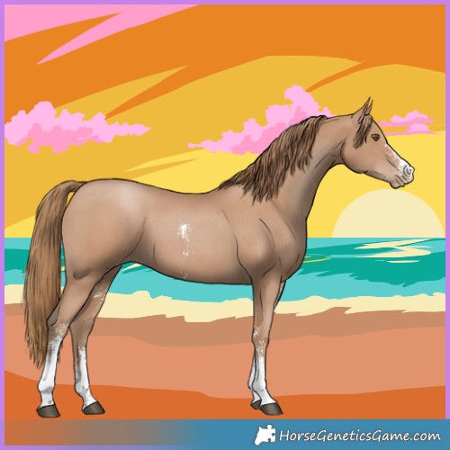 Horse Color:Black Pearl Sabino 