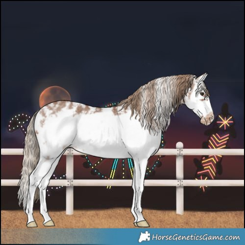 Horse Color:Chestnut Sabino Splash Frame Varnish 