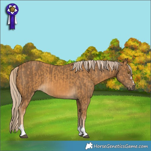 Horse Color:Palomino  and Chocolate Palomino 