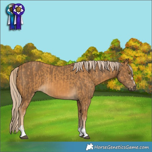 Horse Color:Palomino and Chocolate Palomino