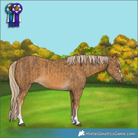 Horse Color:Palomino and Chocolate Palomino