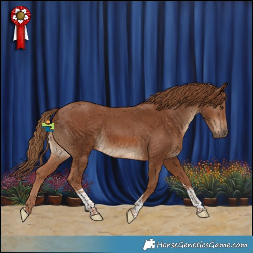 Horse Color:Chestnut Tobiano 