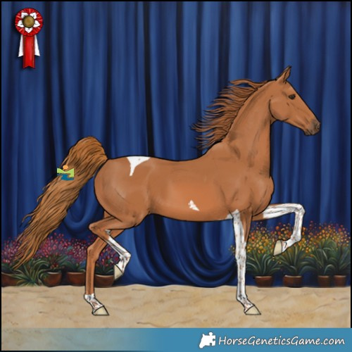 Horse Color:Chestnut Tobiano 