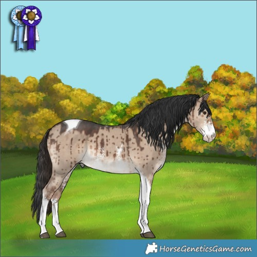 Horse Color:Liver Red Dun Sabino Tobiano Brindle 
