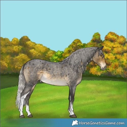 Horse Color:Silver Buckskin Roan Tobiano 