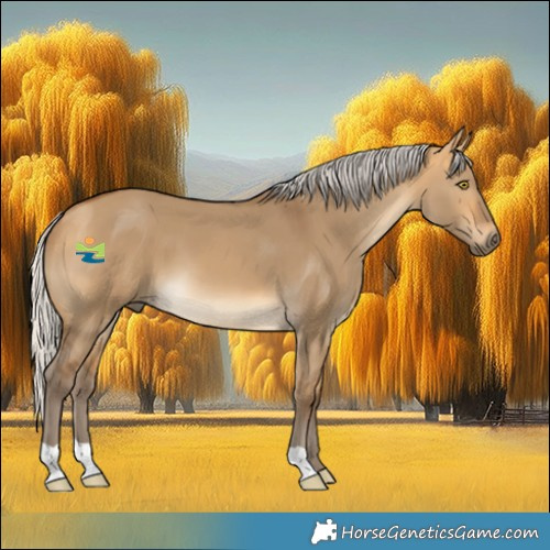 Horse Color:Silver Buckskin Dun