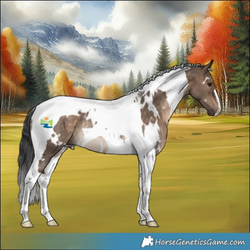 Horse Color:White Spotted Brown Dun Tobiano Rabicano 