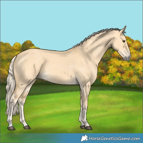 Horse Color:Palomino Dun 