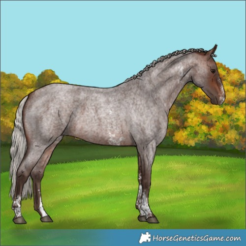 Horse Color:Silver Brown Roan Sabino 
