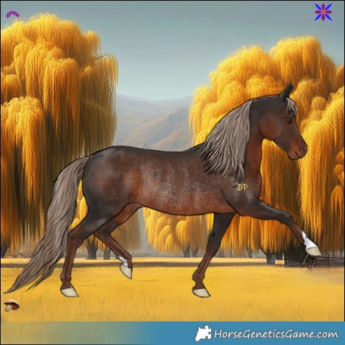 Horse Color:Liver Chestnut Rabicano 