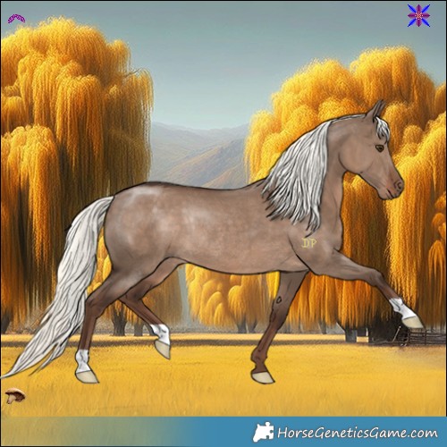 Horse Color:Liver Red Dun Mushroom Rabicano