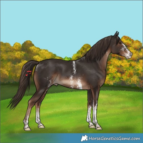 Horse Color:Powder White White Spotted Liver Chestnut 