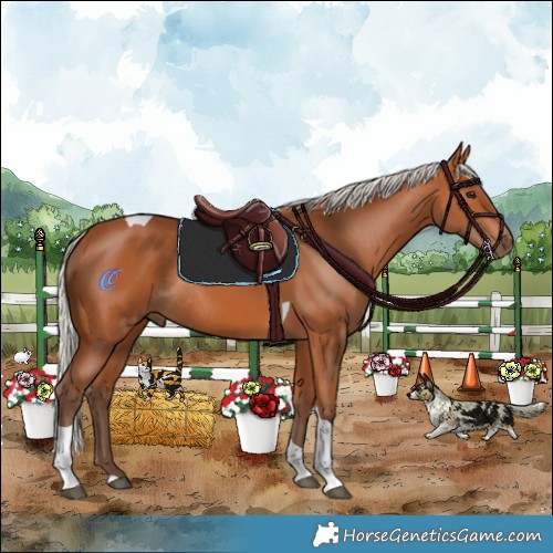 Horse Color:Silver Bay Tobiano Rabicano 