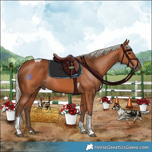Horse Color:Silver Bay Tobiano Rabicano