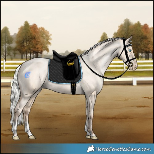 Horse Color:Powder White Silver Amber Champagne Pearl Dun Tobiano Varnish Rabicano