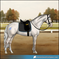 Horse Color:Powder White Silver Amber Champagne Pearl Dun Tobiano Varnish Rabicano 