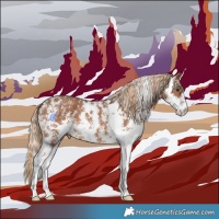Horse Color:Chestnut Sabino