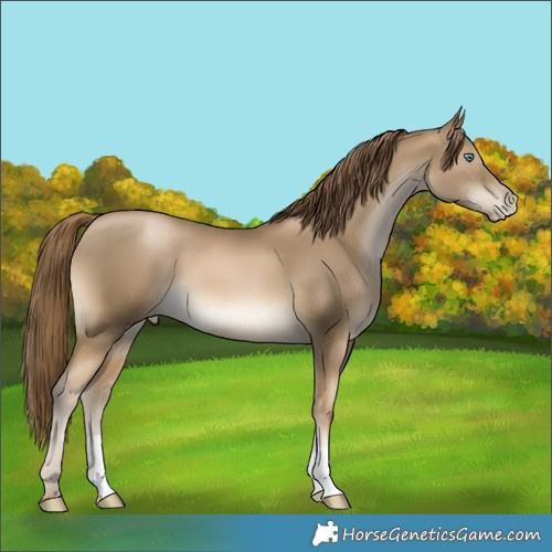 Horse Color:Smoky Black Pearl 