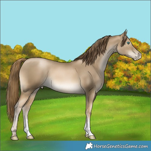 Horse Color:Smoky Black Pearl 
