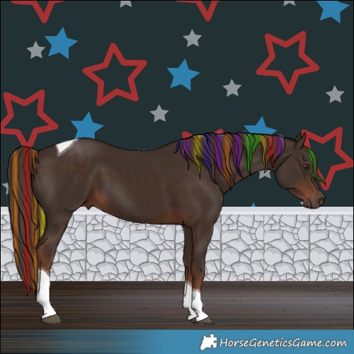 Horse Color:Painted Liver Chestnut Tobiano 