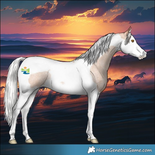 Horse Color:Silver Classic Champagne Roan Splash Tobiano Rabicano 