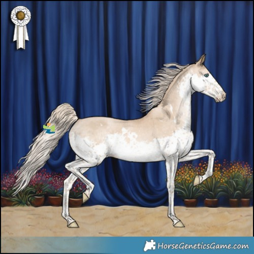 Horse Color:White Spotted Chocolate Palomino Pearl Splash Appaloosa Rabicano