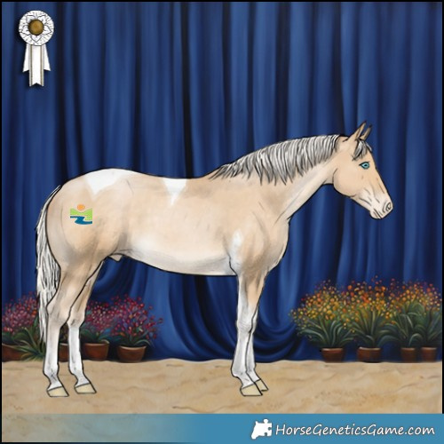 Horse Color:Silver Smoky Black Pearl Tobiano Appaloosa Rabicano 