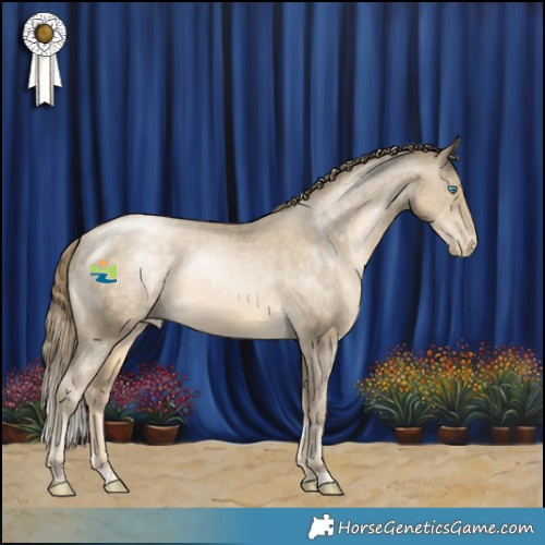 Horse Color:Buckskin Pearl Appaloosa Rabicano