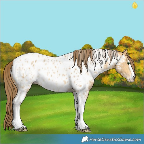 Horse Color:Amber Cream Champagne Sabino Tobiano Appaloosa  and Amber Cream Champagne Sabino Tobiano Appaloosa 