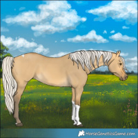 Horse Color:Silver Buckskin Dun Tobiano 