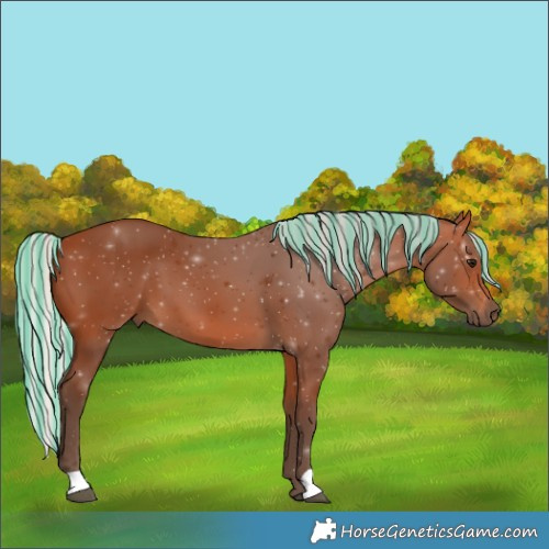 Horse Color:Painted Silver Bay 