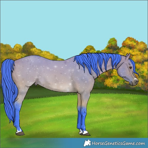 Horse Color:Watercolor Buckskin Dun 