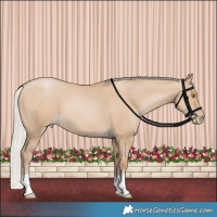 Horse Color:Silver Grullo Pearl