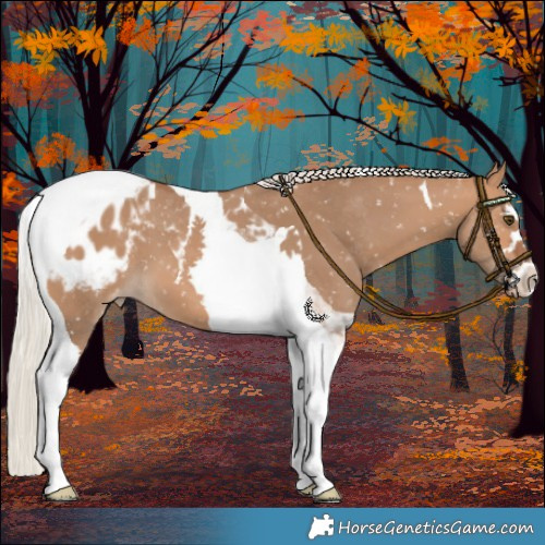 Horse Color:Silver Bay Dun Tobiano Snowflake Varnish