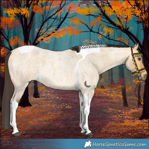 Horse Color:Buckskin Roan Dun Tobiano 