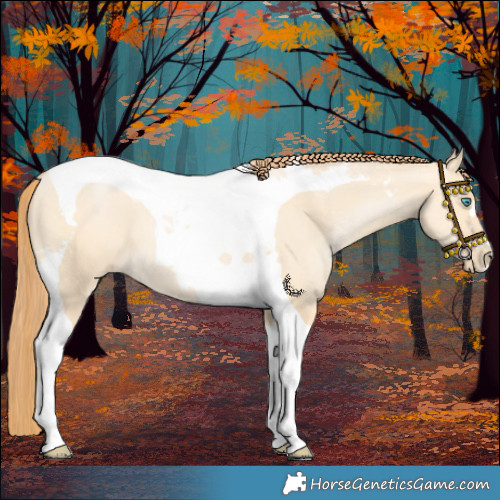 Horse Color:Buckskin Pearl Dun Tobiano 