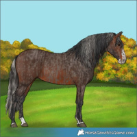 Horse Color:Silver Smoky Black  and Brown Splash 