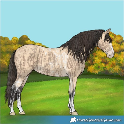 Horse Color:Classic Champagne Sabino Tobiano  and Buckskin Sabino Splash 