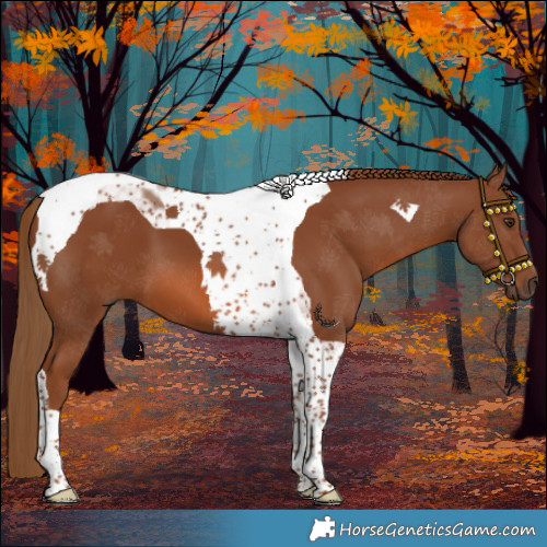 Horse Color:Chestnut Tobiano 