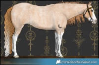 Horse Color:Red Roan Splash 