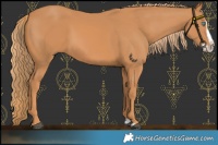 Horse Color:Chestnut Splash Frame