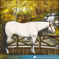 Horse Color:Buckskin Roan Dun Tobiano 