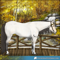 Horse Color:Buckskin Roan Dun Tobiano 