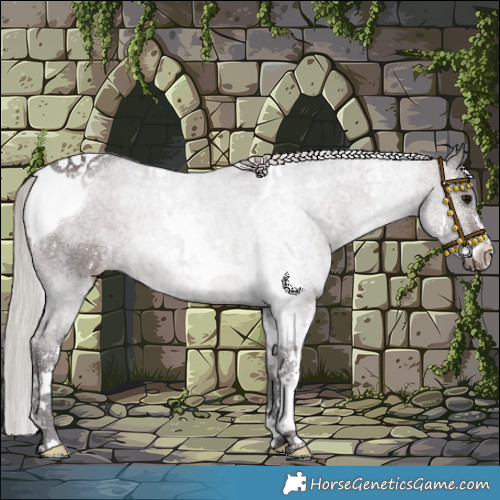 Horse Color:Silver Brown Sabino Tobiano