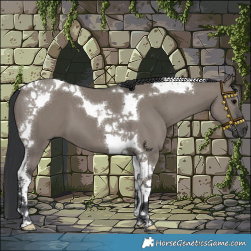 Horse Color:Grullo Tobiano
