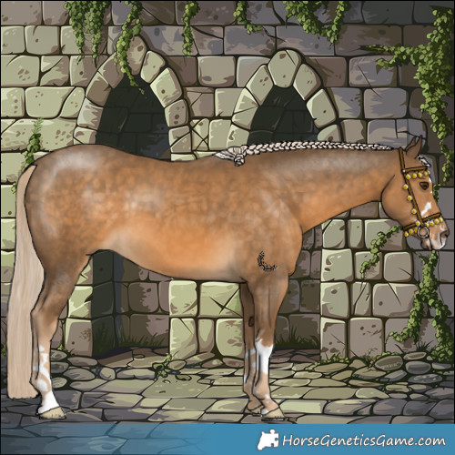 Horse Color:Chocolate Palomino 