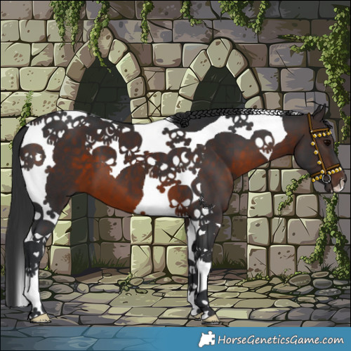 Horse Color:Brown Tobiano