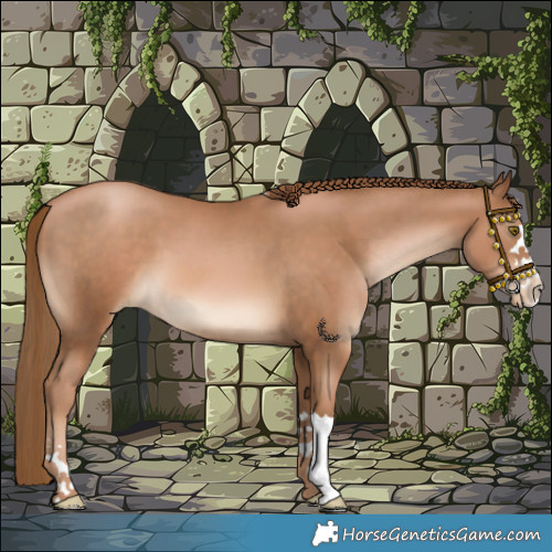 Horse Color:Liver Chestnut Pearl