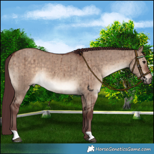Horse Color:Chocolate Brown Dun Brindle
