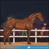 Horse Color:Chestnut 